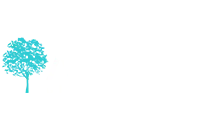 Alimac Bienes Raices